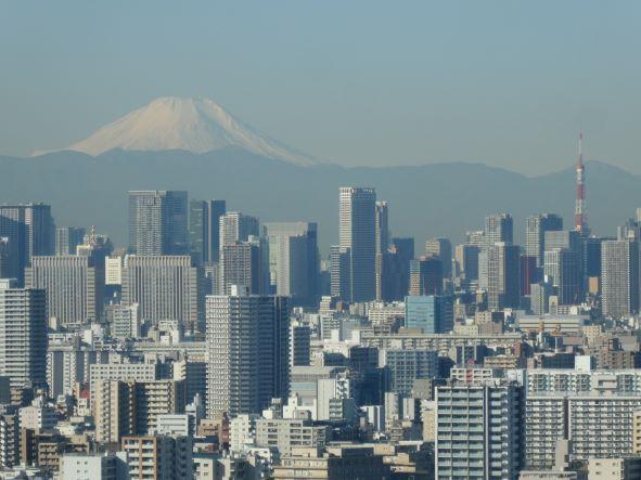 都心のビル群の上に富士山
