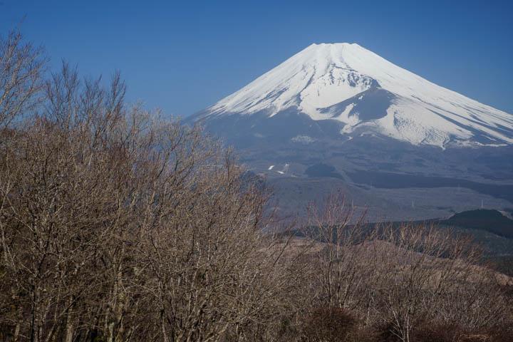 愛鷹山黒岳からの富士山